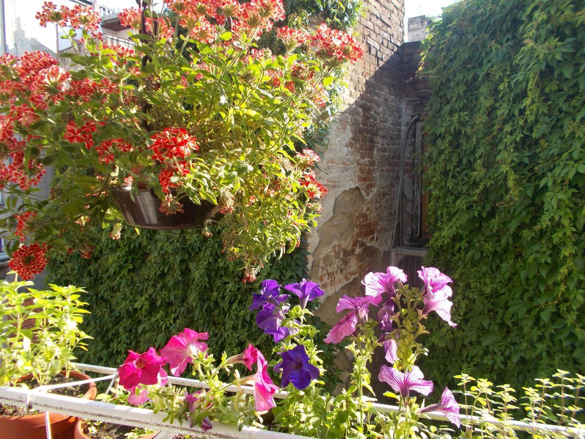Hostel El Diablo Βελιγράδι Εξωτερικό φωτογραφία